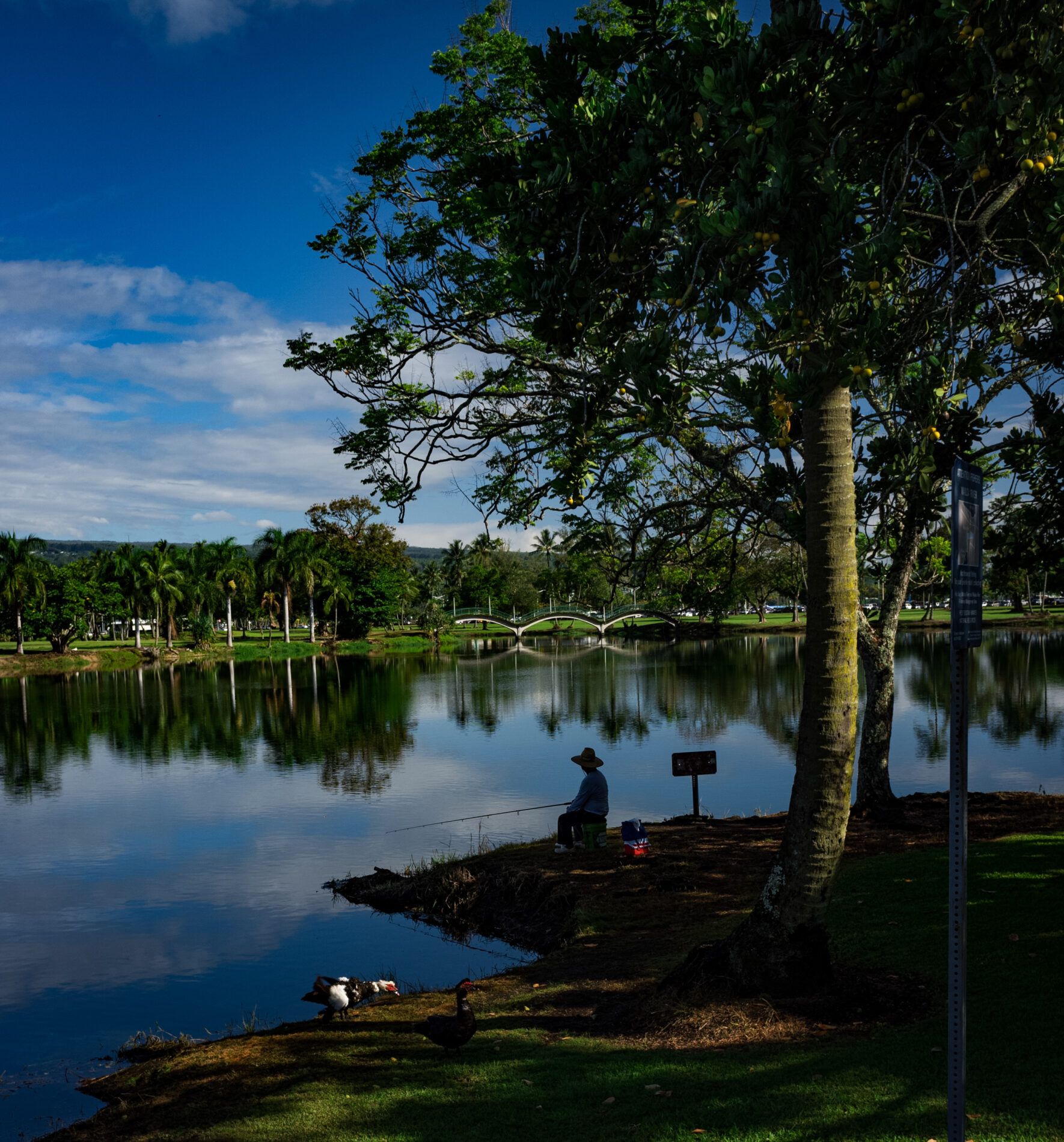 Hilo Wailoa fishing pond